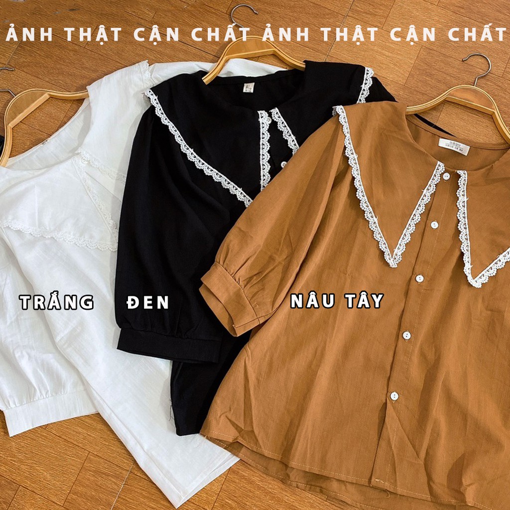 Áo babydoll cổ bèo phối ren tay lỡ màu tây siêu xinh (hàng QC) - Ảnh thật