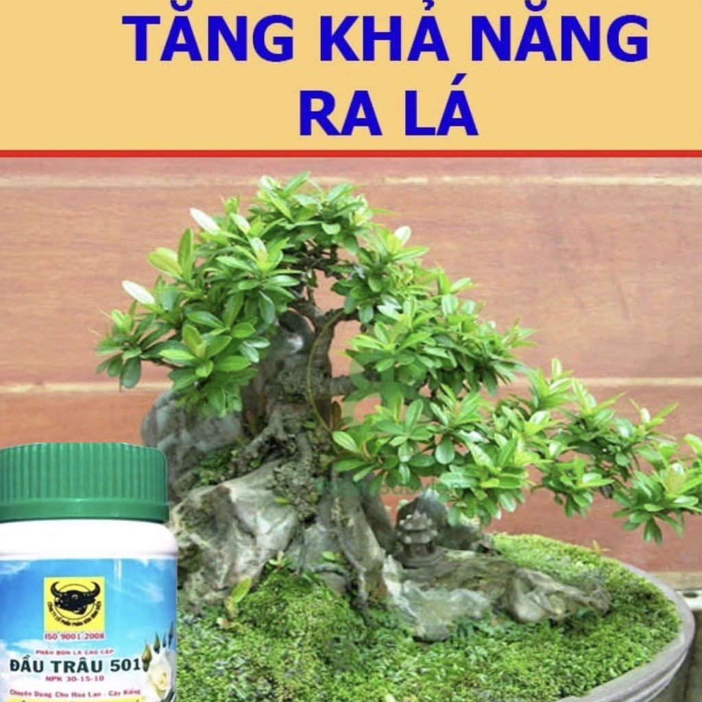 Phân Bón Đầu Trâu 501 - Nảy Chồi, Ra Lá lọ 100g