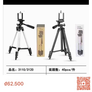 Cây livetream Tripod 3110