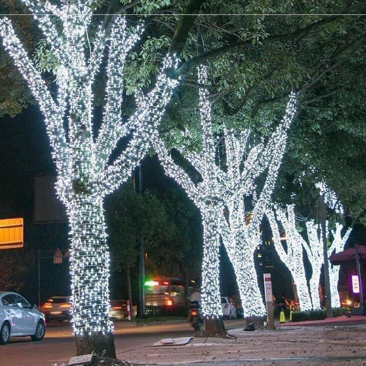 [ XẢ KHO GIÁ SỐC ] Led quấn cây chống nước chịu mưa nắng Led đúc F5 Đèn trang trí cây ngoài trời trang trí