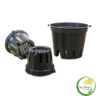 Chậu nhựa trồng Lan - Phi 16