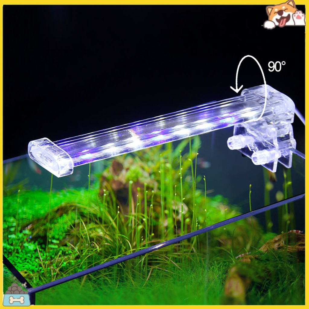 Đèn chiếu sáng chất lượng cao cho bể cá