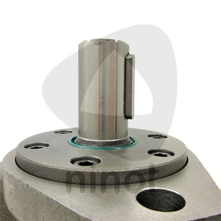 Motor thủy lực BMR