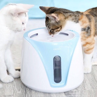 Máy lọc nước carno cho mèo