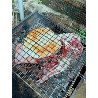 1kg mực 1 nắng