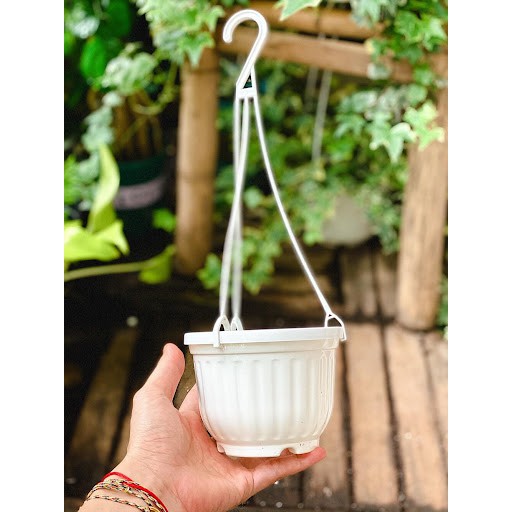 (SIÊU SALE) chậu treo bí kèm quai màu trắng 22cm x15cm