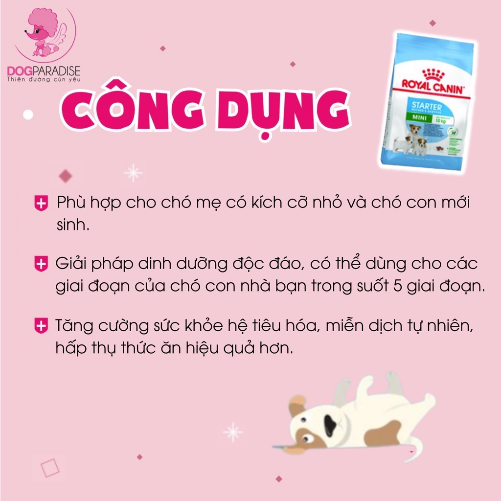 Thức ăn cho chó kích cỡ nhỏ và chó mẹ đang cho con bú Royal Canin Mini Starter Mother and Babydog 1kg - Dog Paradise