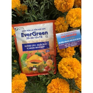 Phân bón lá hỗn hợp npk evergreen 20-20-10 +te 500g