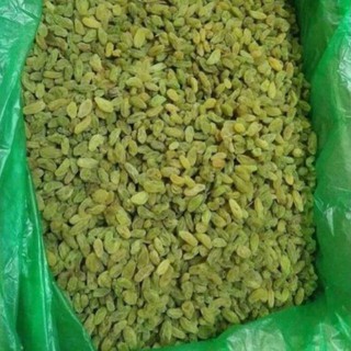 NHO XANH Ninh THUẬN} 500G/1KG}