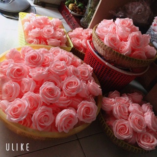 hoa hồng ghép cánh