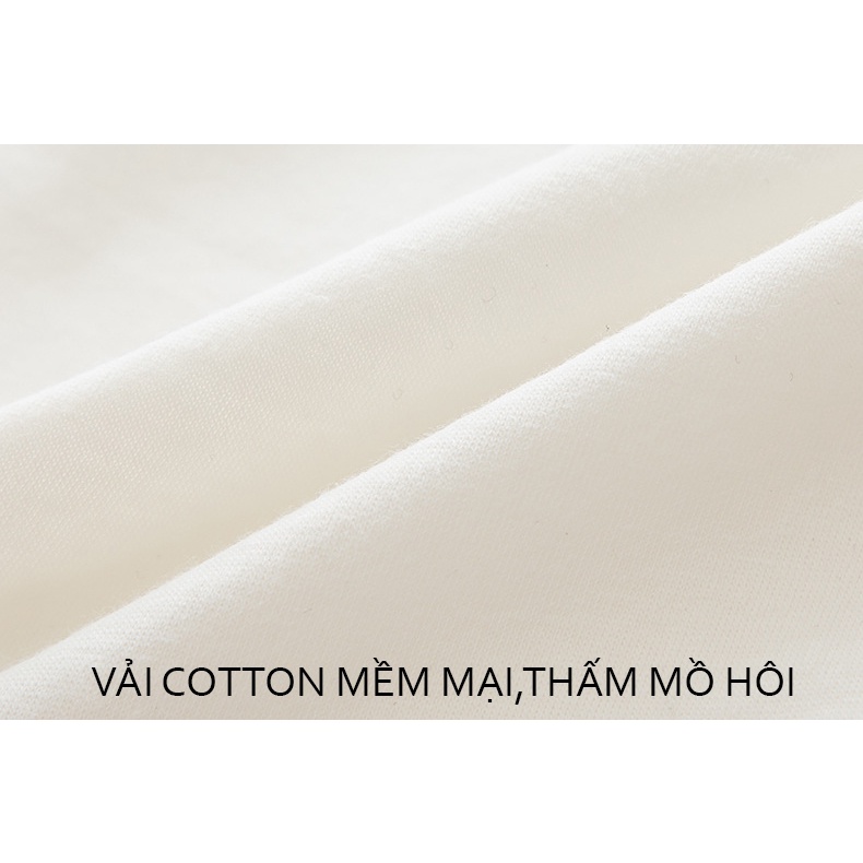 Quần lót nữ cotton combo 5 màu thiết kế mèo cute 306