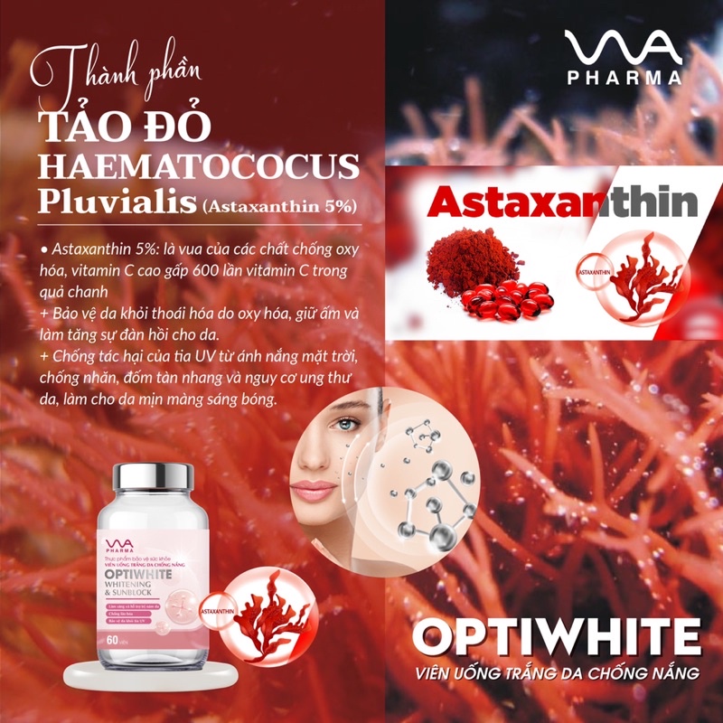 [Sẵn] Viên uống sáng da OPTIWHITE - VNUA PHARMA hộp 60 viên