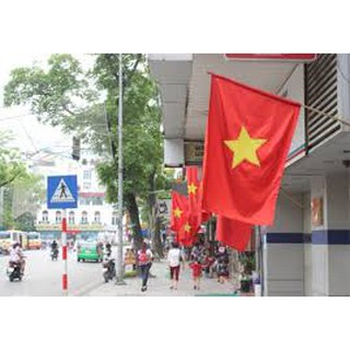 cờ tổ quốc size lớn