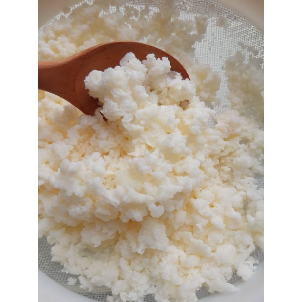 Nấm làm sữa chua kefir milk