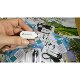 Usb Bluetooth Âm thanh 5.0