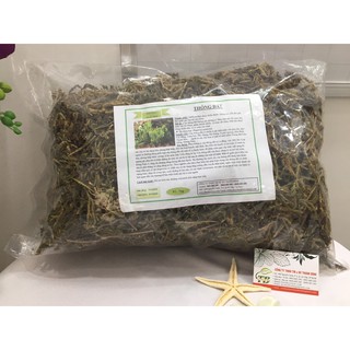 Cây Thông Đất (Râu Rồng) 500gr - Hàng Công Ty