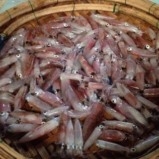 MẮM MỰC BÌNH ĐỊNH (Combo 2 hũ)