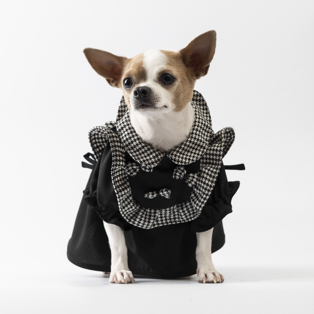 Váy nơ xinh hàng hiệu cho thú cưng - SaboCoco - B&W2
