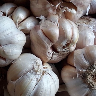 1kg Tỏi khô ở quê