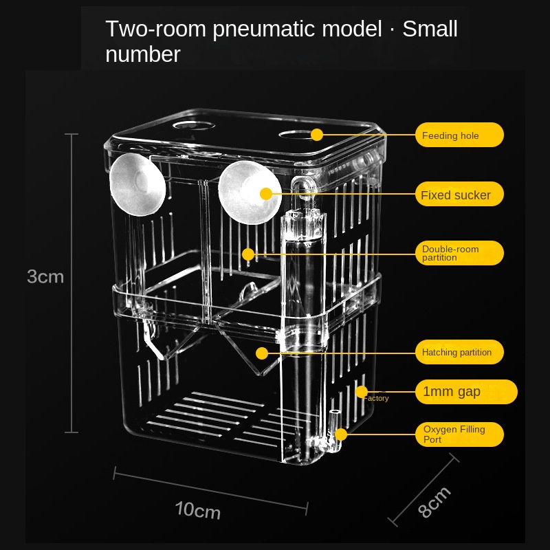Hộp Nuôi Cá Bằng acrylic Cách Ly Cực Kỳ Cỡ Lớn