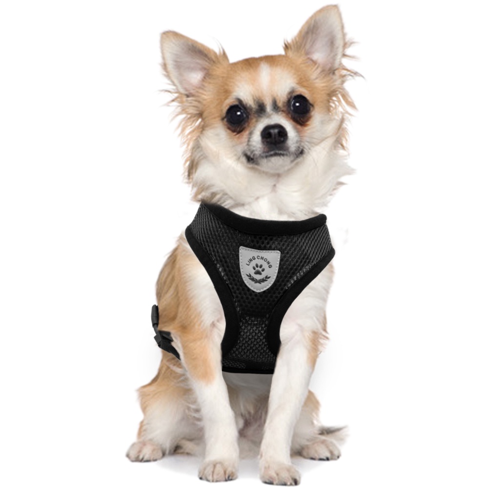 &lt;cutepethome&gt;Dây Dắt Thú Cưng Đi Dạo Phối Lưới Thoáng Khí Phản Quang Độc Đáo Cho Cún Cưng