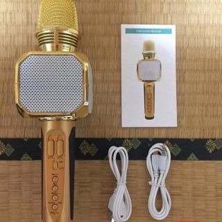 Mic karaoke sd8