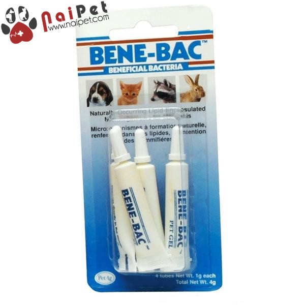 Men Tiêu Hóa Dạng Gel Pet Gel Bene-bac Plus Cho Chó Mèo Hộp 4 tuýp 4g