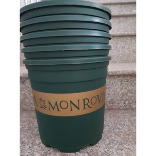 Chậu monrovia số 1