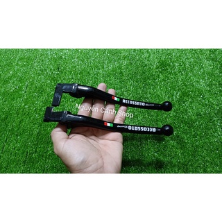 Cặp tay thắng SH.VN 125-150 RCCOSSATO