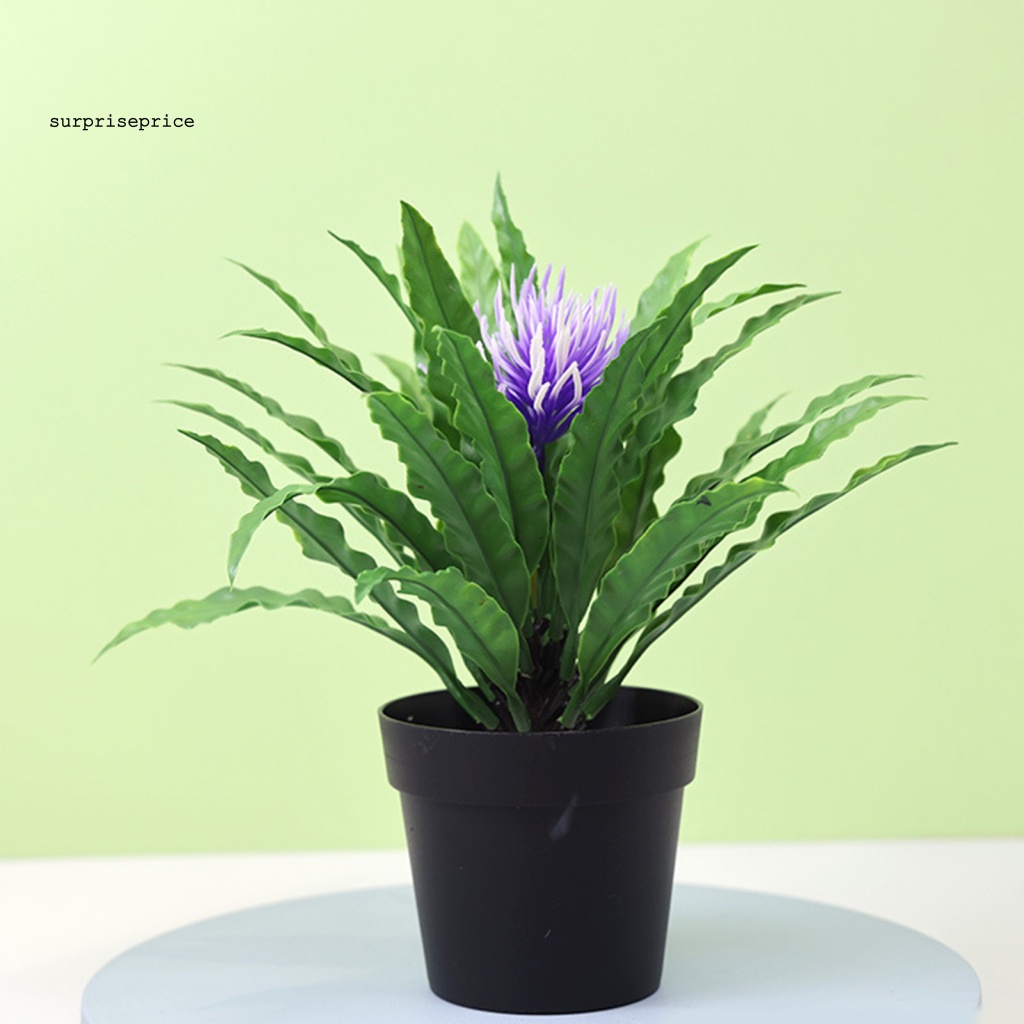 Chậu Cây Bonsai Giả Bằng Nhựa Màu Sắc Tươi Sáng Dùng Trang Trí Bàn Làm Việc