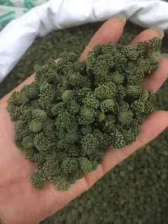 Nụ hoa tam thất 100gr
