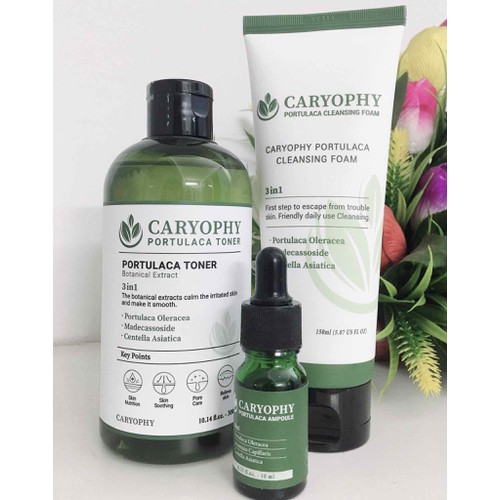 Serum Caryophy Portulaca Ampoule hỗ trợ phục hồi da mụn chiết xuất từ rau sam 10ML NPP Shoptido