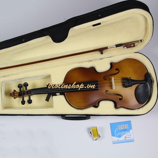 Violin Giá Siêu rẻ