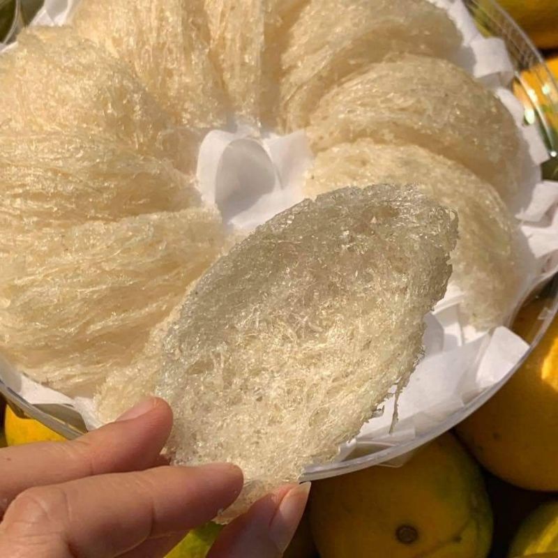 TỔ YẾN SÀO TINH CHẾ NHA TRANG KHÁNH HÒA.100gr(tặng kèm táo đỏ,đường phèn)