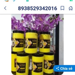 [Hàng chính hãng]. Hấp phục hổi tóc hư tổn Collagen men sống 1000ml