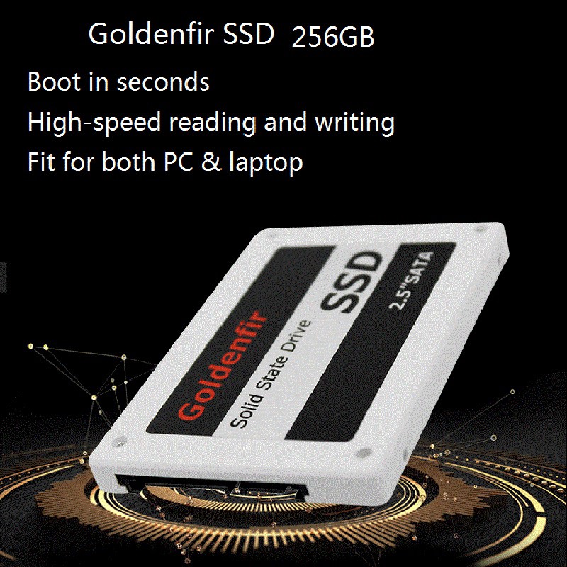 Ổ Cứng Ssd 256gb Ssd 2.5 H9Vn | BigBuy360 - bigbuy360.vn