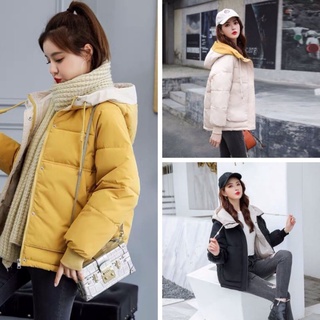 Áo phao nữ hàn quốc chất đẹp cao cấp quảng châu