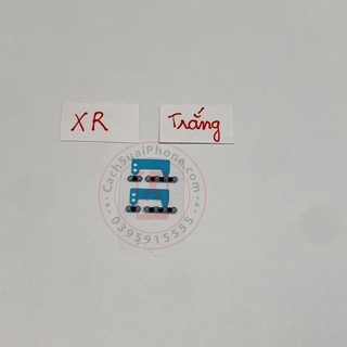 Màng Loa - Mic IP XR