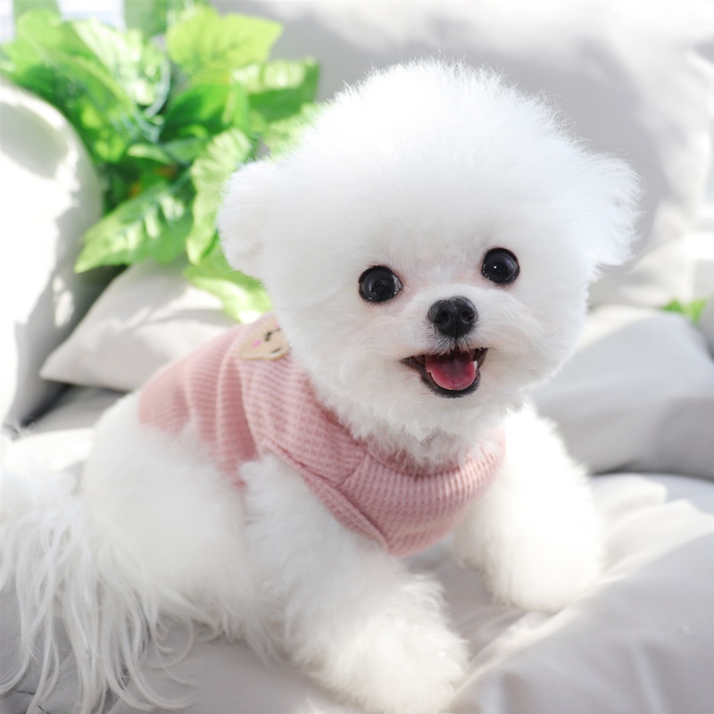 Áo Sơ Mi Sát Nách Vải Mỏng Thoáng Khí Thời Trang Mùa Hè Cho Thú Cưng
