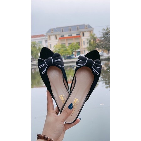 Sục nơ (ảnh thật) | BigBuy360 - bigbuy360.vn