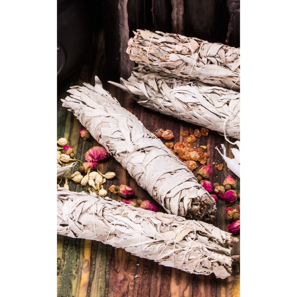 WHITE SAGE Xô Thơm Trắng - THẢO MỘC XÔNG NHÀ