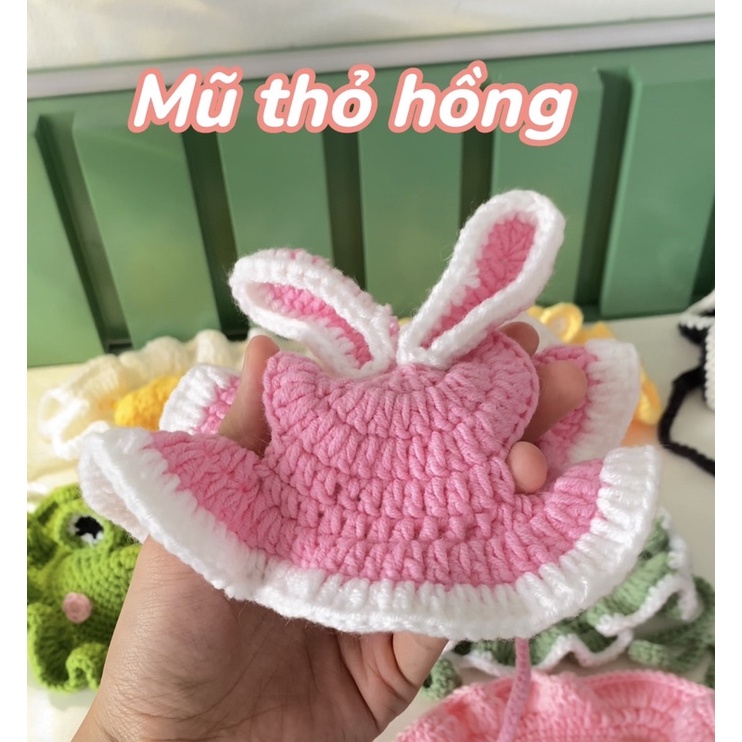 Mũ bèo dáng mới cho mèo