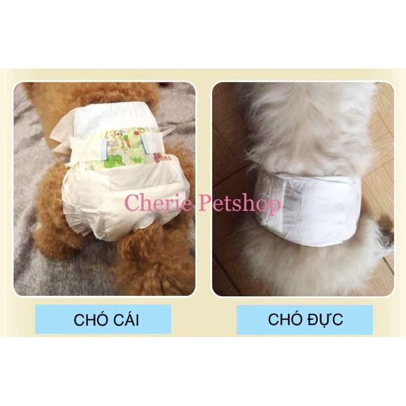 Tã Bỉm Vệ Sinh Dono Cho Chó Mèo (đực, cái)