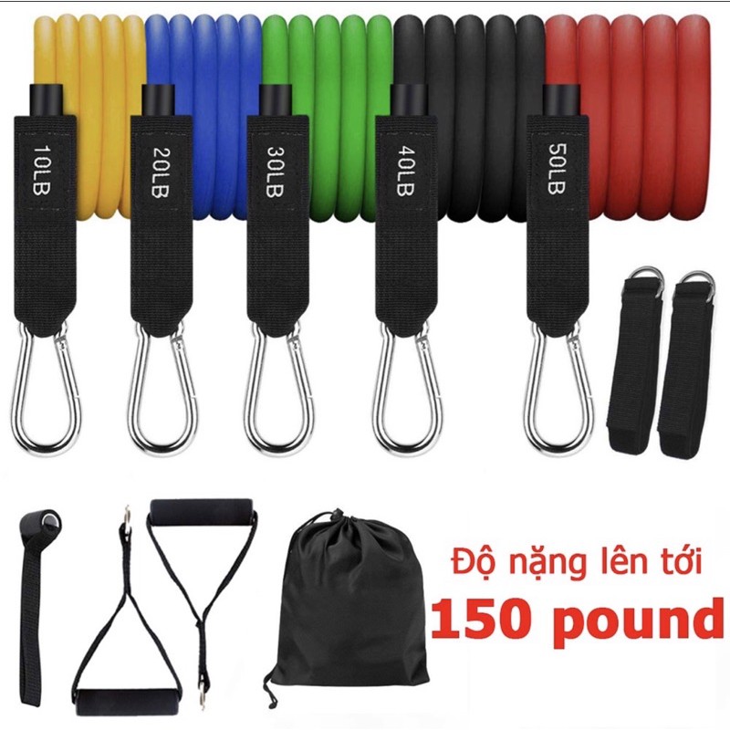 Bộ 5 dây kháng lực tập gym , 2 quấn cổ chân, 2 tay cầm kèm túi đựng Elite Sport