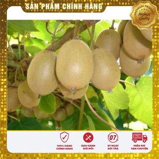 Hạt Giống Quả Kiwi LUCKY SEEDS  ( 30 hạt)