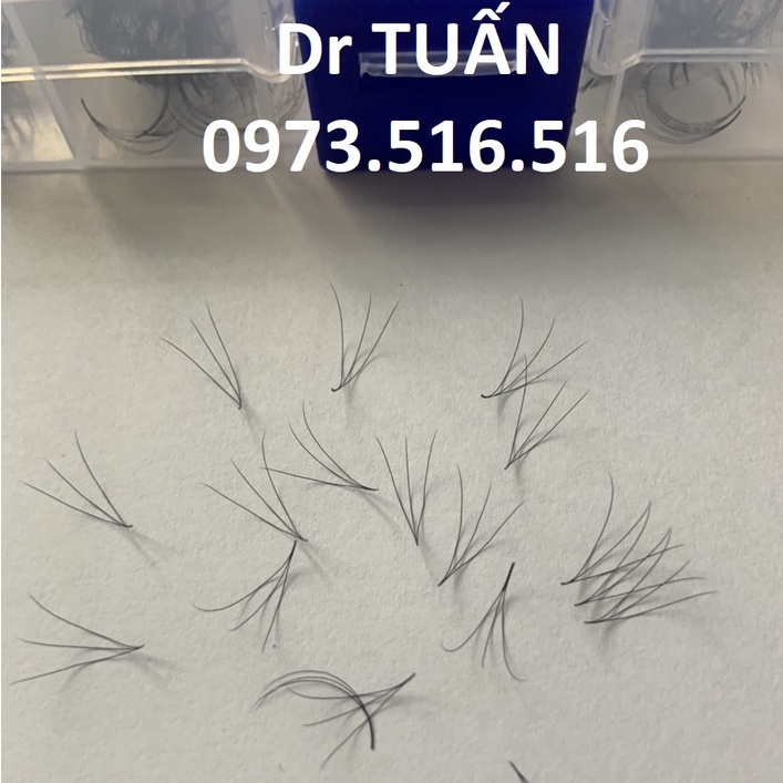 MI FAN 3D MIX (9-&gt;15) cong C - D 1000fan - dụng cụ nối mi - Dr TUẤN