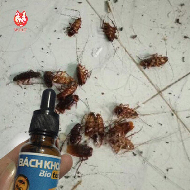 [LỌ TO 20ML] Thuốc diệt kiến, diệt gián tận gốc Bách khoa Bio Tech sinh học an toàn, diệt kiến hiệu quả nhanh