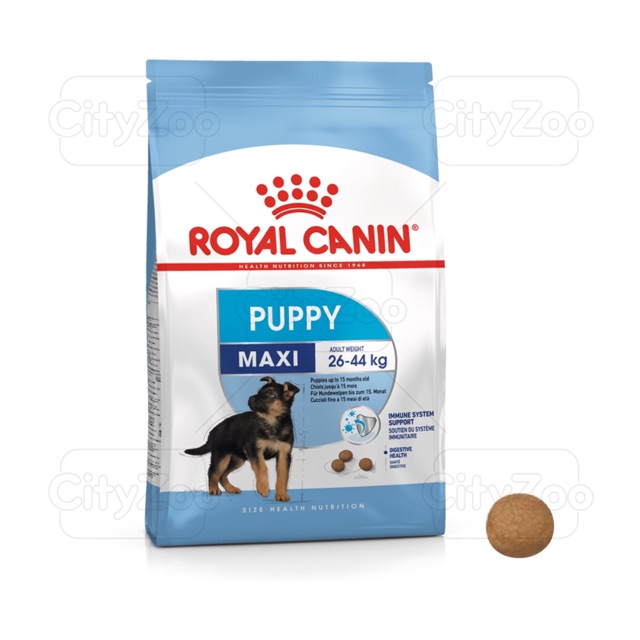 10kg thức ăn cho chó con giống lớn Royal canin maxi Puppy 10kg