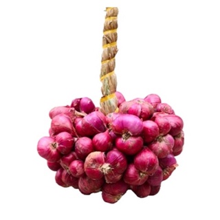 500 gr hành tím