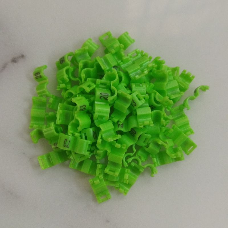 10PCS VÒNG CHÂN CHIM YẾN HÓT FINCH CÓ SỐ SORI SET